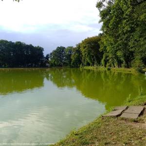 Staw Trzeciok w Tworkowie - staw trzeciok w tworkowie 6