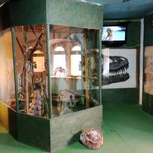 Muzeum Kamieni w Kamieniu Pomorskim - muzeum kamieni w kamieniu pomorskim 18