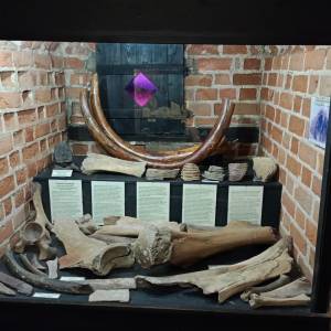 Muzeum Kamieni w Kamieniu Pomorskim - muzeum kamieni w kamieniu pomorskim 20
