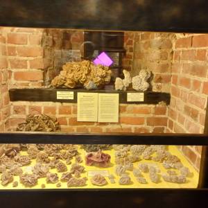 Muzeum Kamieni w Kamieniu Pomorskim - muzeum kamieni w kamieniu pomorskim 21