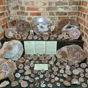 Muzeum Kamieni w Kamieniu Pomorskim - muzeum kamieni w kamieniu pomorskim 22