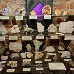 Muzeum Kamieni w Kamieniu Pomorskim - muzeum kamieni w kamieniu pomorskim 24