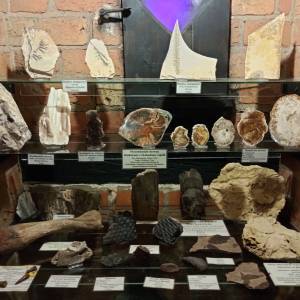 Muzeum Kamieni w Kamieniu Pomorskim - muzeum kamieni w kamieniu pomorskim 26