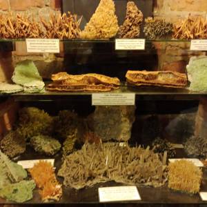 Muzeum Kamieni w Kamieniu Pomorskim - muzeum kamieni w kamieniu pomorskim 27