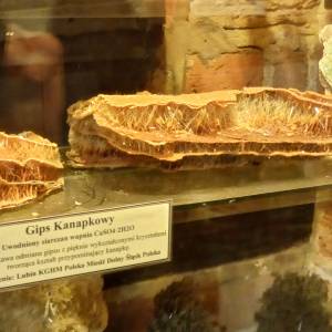 Muzeum Kamieni w Kamieniu Pomorskim - muzeum kamieni w kamieniu pomorskim 28