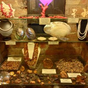 Muzeum Kamieni w Kamieniu Pomorskim - muzeum kamieni w kamieniu pomorskim 29