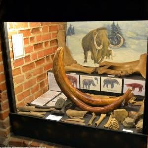 Muzeum Historii Ziemi Kamieńskiej w Kamieniu Pomorskim - muzeum kamieni w kamieniu pomorskim 2