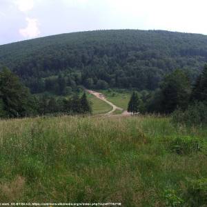 Łysina (891 m n.p.m.) - sucha przelecz beskid makowski a1