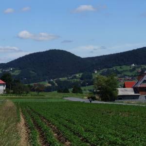 Księża Góra (649 m n.p.m.) - pasmo cietnia pw4