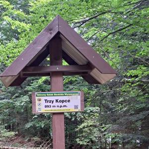 Trzy Kopce (894 m n.p.m.) - trzy kopce 894 m n p m 1
