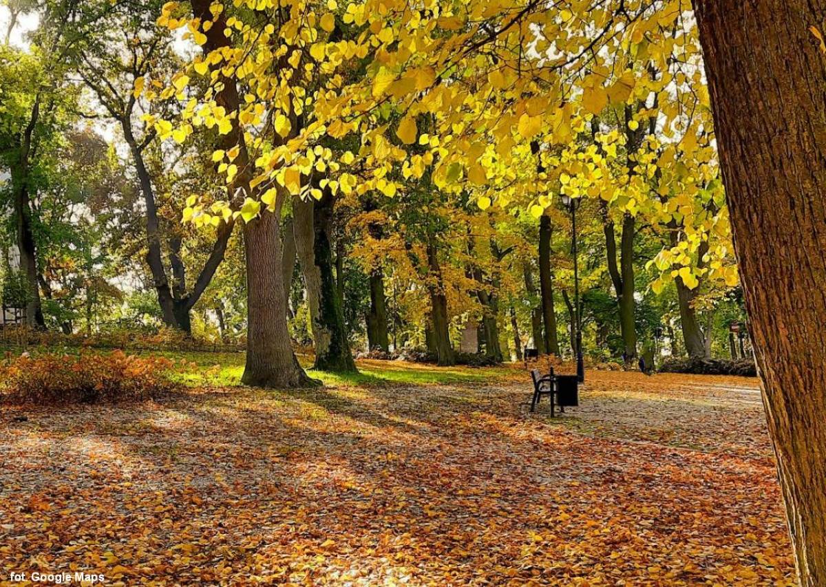 Park Miejski im. Jana Pawła II w Kamieniu Pomorskim - park miejski im jana pawla ii w kamieniu pomorskim
