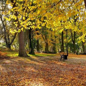 Park Miejski im. Jana Pawła II w Kamieniu Pomorskim - park miejski im jana pawla ii w kamieniu pomorskim