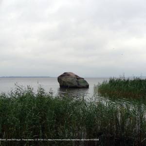 Głaz Królewski w Kamieniu Pomorskim - kamienpomorski01924