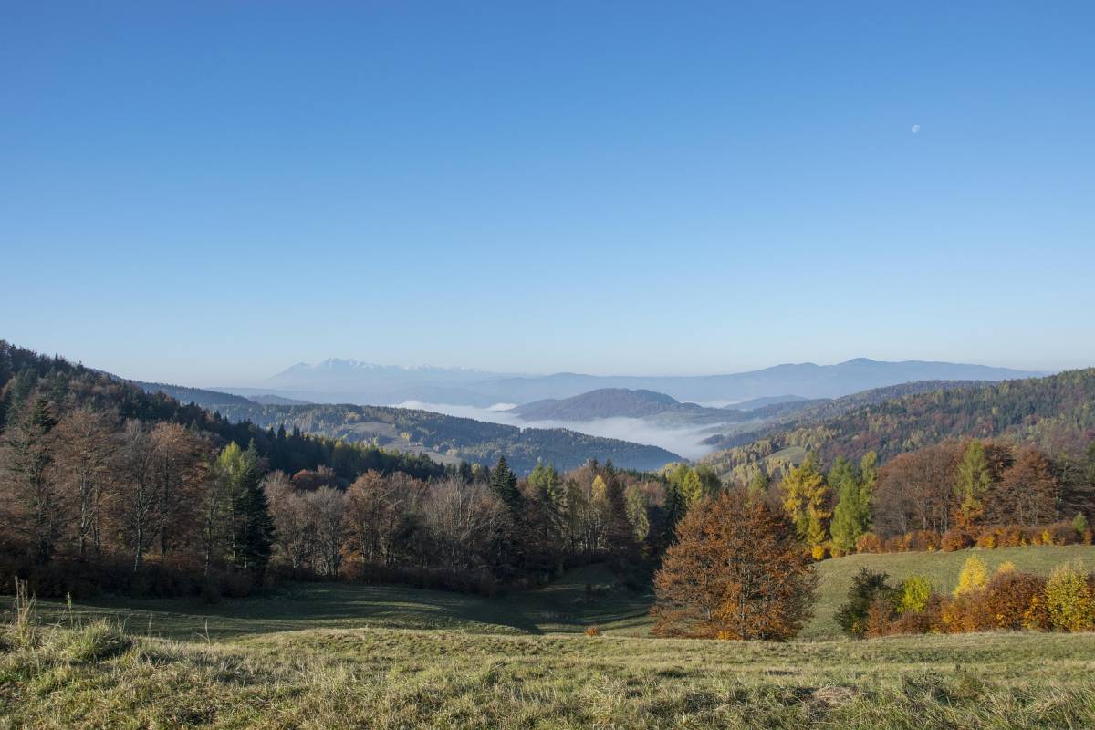 Beskid Sądecki - beskid sadecki 3