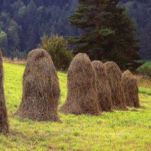 Beskid Sądecki - beskid sadecki 7