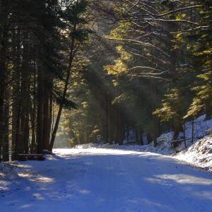 Beskid Niski - beskid niski 1