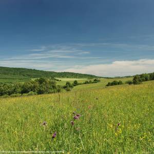 Beskid Niski - beskid niski 3