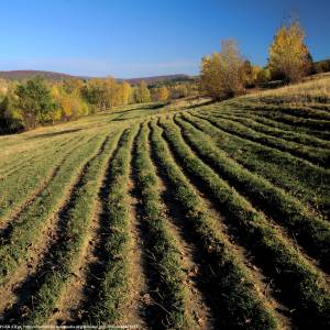 Beskid Niski - beskid niski 5