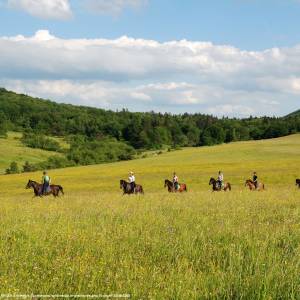 Beskid Niski - beskid niski 7