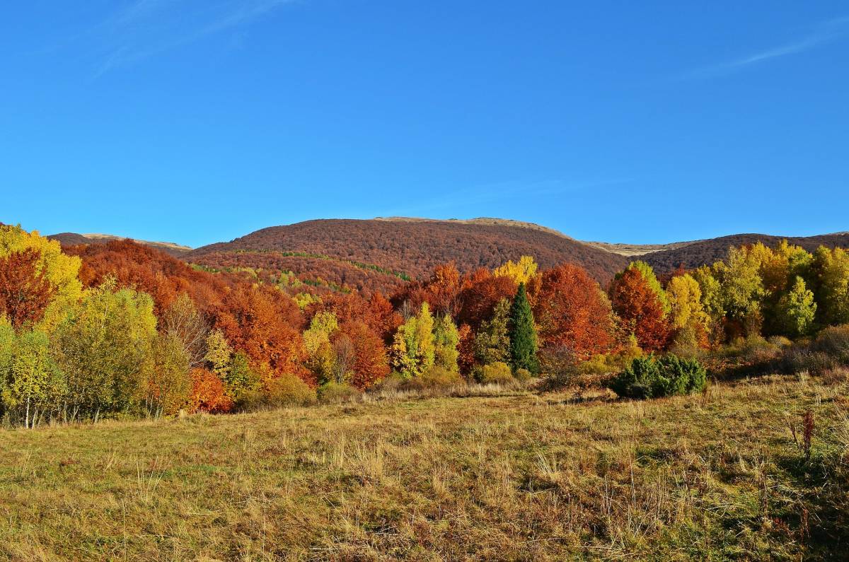 Bieszczady - bieszczady 20