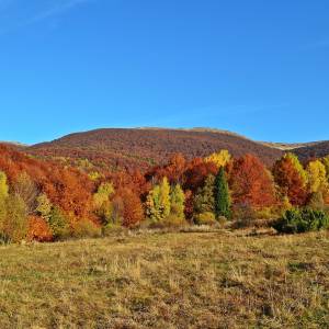 Bieszczady - bieszczady 20