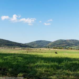 Góry Bystrzyckie - trzcinska gora i zelezniak gory bystrzyckie sudety