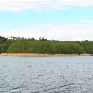 Wyspa Kopczysko na Jeziorze Góreckim - kopczysko island wielkopolski national park kopia