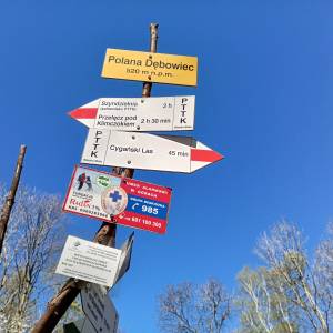 Polana Dębowiec - polana debowiec 4