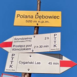 Polana Dębowiec - polana debowiec 5