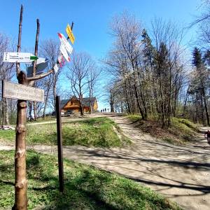 Polana Dębowiec - polana debowiec 9