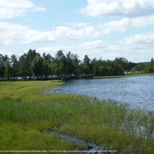 Jezioro Lipno - pol lipno jezioro w wojewodztwie pomorskim 07