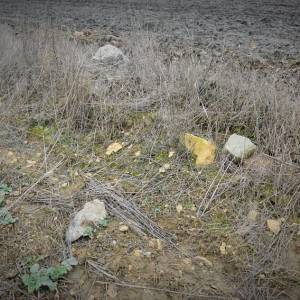 P.O. "Dąbrówka" - 15. Schron pozorny (nie istnieje) - p o dabrowka 15 schron pozorny nie istnieje 4