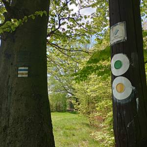 Punkt widokowy pod Orłową - punkt widokowy pod orlowa 13