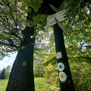 Punkt widokowy pod Orłową - punkt widokowy pod orlowa 14