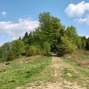 Punkt widokowy pod Orłową - punkt widokowy pod orlowa 22