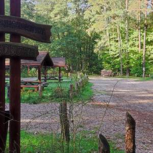 Parking i miejsce biwakowe „Bogdanka” - parking i miejsce biwakowe bogdanka 2