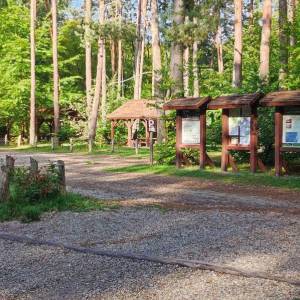 Parking i miejsce biwakowe „Bogdanka” - parking i miejsce biwakowe bogdanka 3
