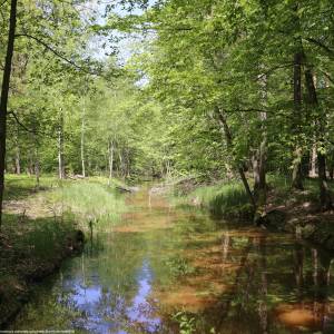 Stobrawski Park Krajobrazowy - 2019 05 stobrawski park krajobrazowy 03