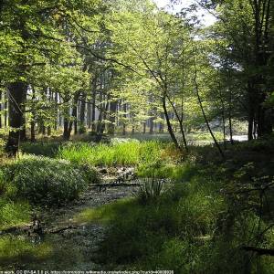 Stobrawski Park Krajobrazowy - grady w dolinie odry