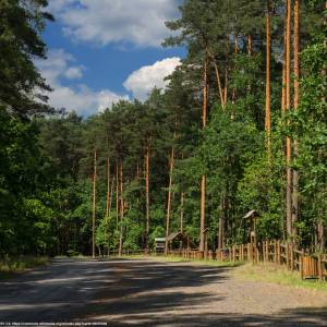 Stobrawski Park Krajobrazowy - sobrawski park krajobrazowy wjazd od strony lubnian