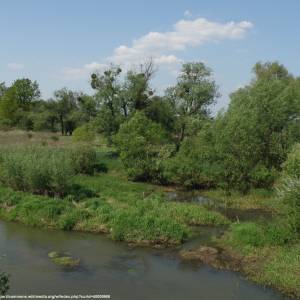 Stobrawski Park Krajobrazowy - stobrawa