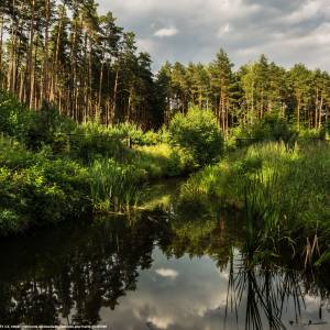 Stobrawski Park Krajobrazowy - stobrawski park krajobrazowy oczko wodne