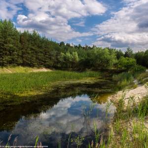 Stobrawski Park Krajobrazowy - stobrawski park krajobrazowy stawek przy wydmach kosowice