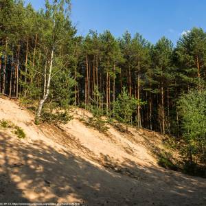 Stobrawski Park Krajobrazowy - stobrawski park krajobrazowy wydmy kolo studzianki
