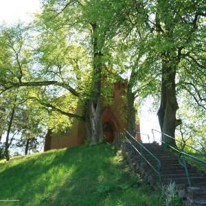 Kościół pw. Niepokalanego Poczęcia NMP w Starym Osiecznie - panoramio 2333