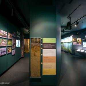 Muzeum Przyrodnicze Parku Narodowego „Bory Tucholskie” - muzeum przyrodnicze parku narodowego bory tucholskie 2