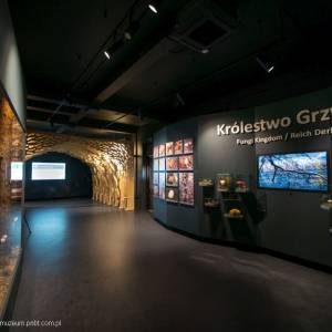 Muzeum Przyrodnicze Parku Narodowego „Bory Tucholskie” - muzeum przyrodnicze parku narodowego bory tucholskie 4