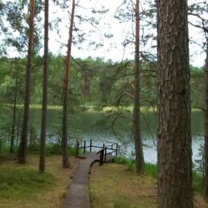 Punkt widowkowy na Jezioro Nierybno - punkt widowkowy na jezioro nierybno