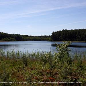 Jezioro Wielkie Gacno - pnbt jezioro wielkie gacno 03 07 10 p