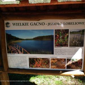 Jezioro Wielkie Gacno - wielkie gacno lake 3